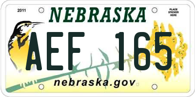 NE license plate AEF165