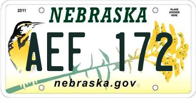 NE license plate AEF172