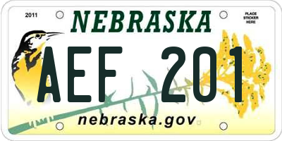 NE license plate AEF201
