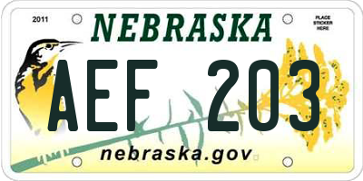 NE license plate AEF203