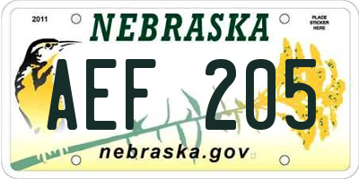 NE license plate AEF205