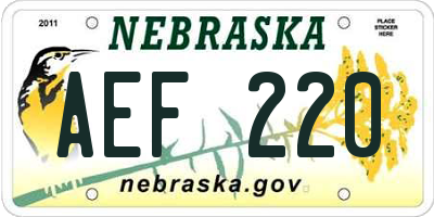 NE license plate AEF220