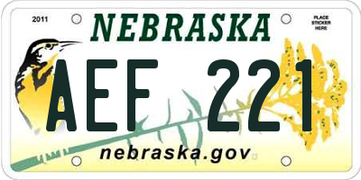 NE license plate AEF221
