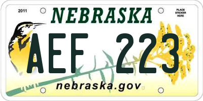 NE license plate AEF223