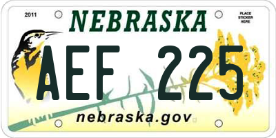 NE license plate AEF225