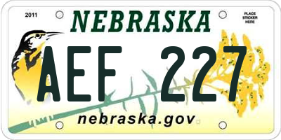 NE license plate AEF227