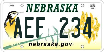 NE license plate AEF234