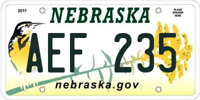 NE license plate AEF235
