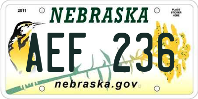 NE license plate AEF236