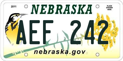 NE license plate AEF242