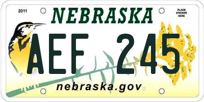 NE license plate AEF245