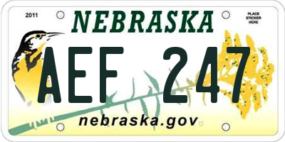 NE license plate AEF247