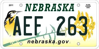 NE license plate AEF263