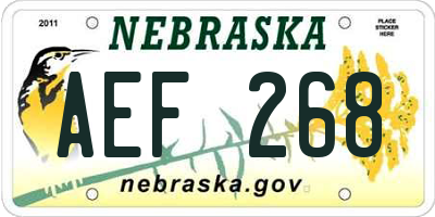 NE license plate AEF268