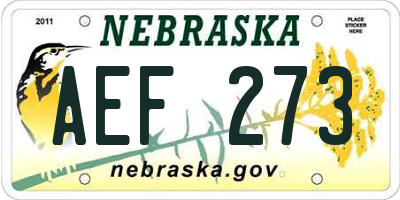 NE license plate AEF273