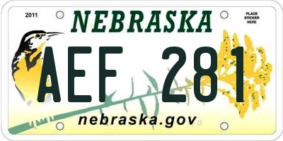 NE license plate AEF281