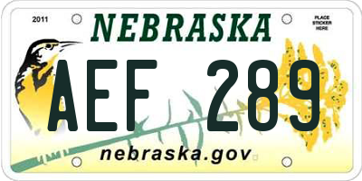 NE license plate AEF289