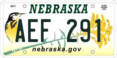 NE license plate AEF291