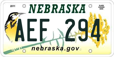 NE license plate AEF294