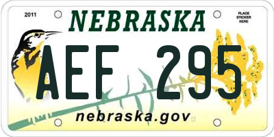 NE license plate AEF295