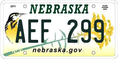NE license plate AEF299
