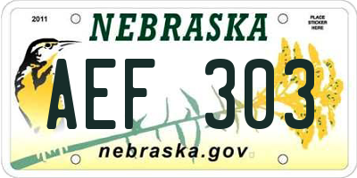 NE license plate AEF303