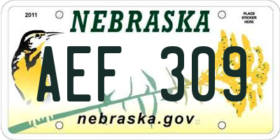 NE license plate AEF309