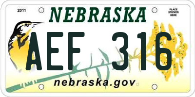 NE license plate AEF316