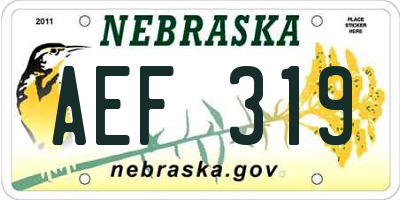 NE license plate AEF319