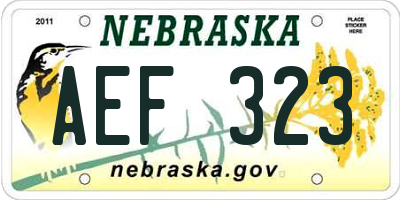 NE license plate AEF323