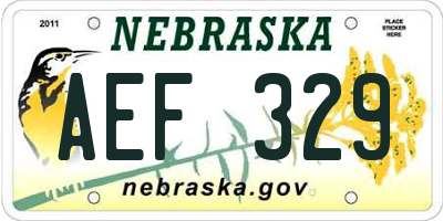 NE license plate AEF329