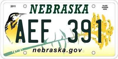 NE license plate AEF391