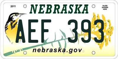NE license plate AEF393