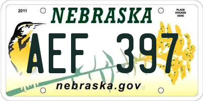 NE license plate AEF397