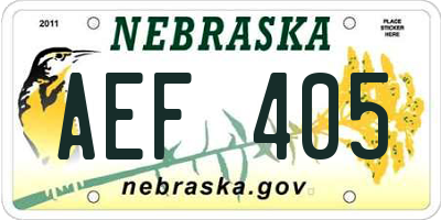 NE license plate AEF405