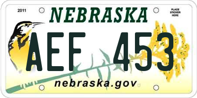 NE license plate AEF453