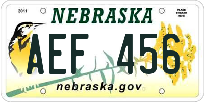 NE license plate AEF456