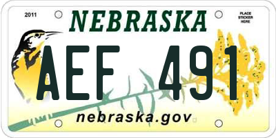 NE license plate AEF491