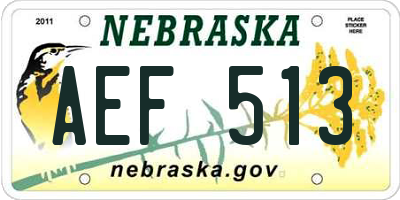 NE license plate AEF513