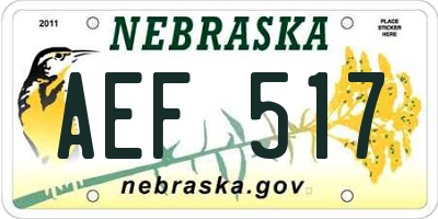 NE license plate AEF517