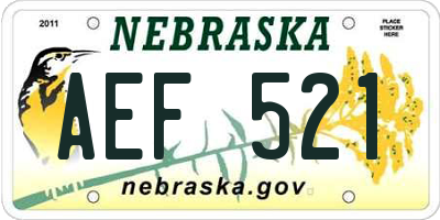 NE license plate AEF521