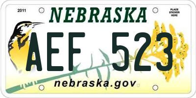 NE license plate AEF523
