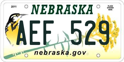 NE license plate AEF529