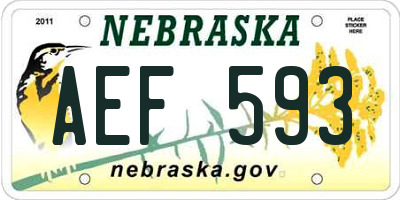 NE license plate AEF593