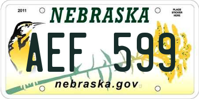 NE license plate AEF599