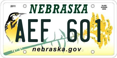 NE license plate AEF601