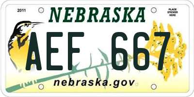 NE license plate AEF667