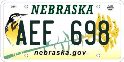 NE license plate AEF698