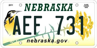 NE license plate AEF731