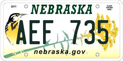 NE license plate AEF735